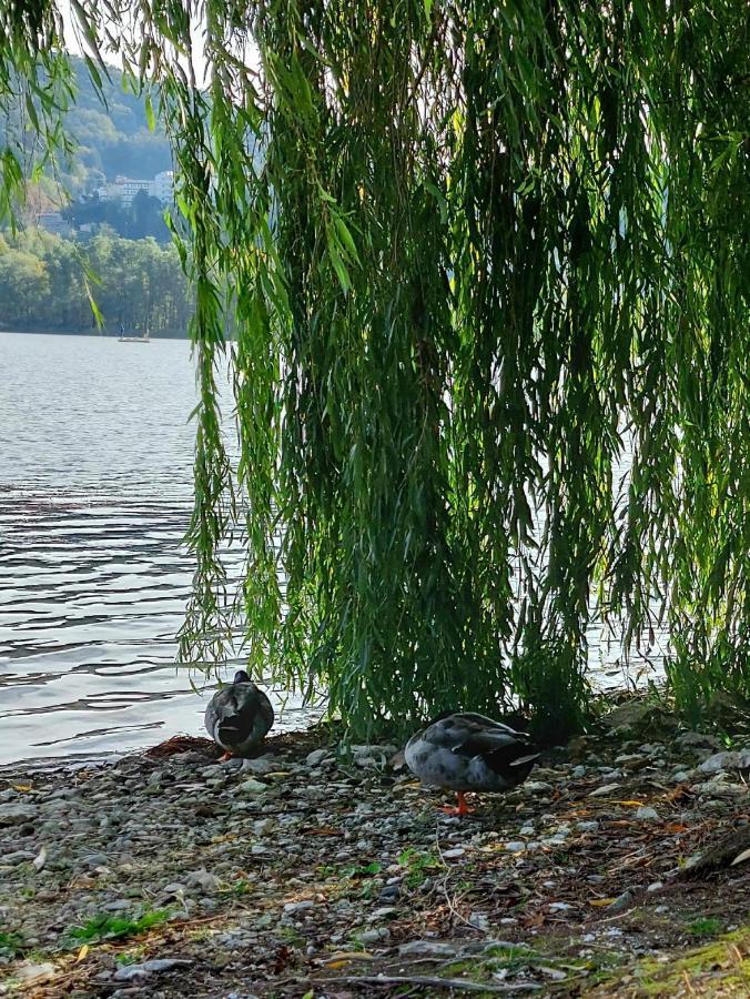 I Gelsi - Holiday Home Lago (Veneto) Exterior foto